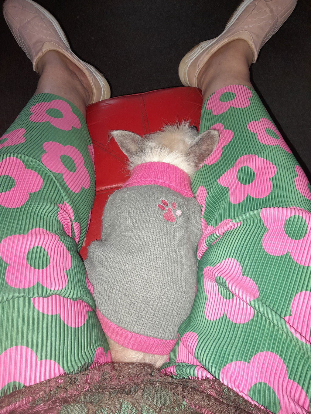 Flower Power Stretch Pants