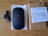 Aminte Gay review photo