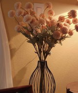 Andreina I review photo