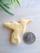 Broomstick Pet Treats LLC review photo