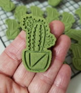 Broomstick Pet Treats LLC review photo