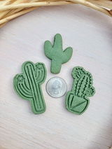 Broomstick Pet Treats LLC review photo