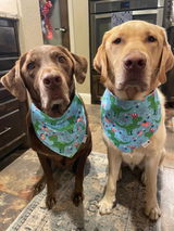 Dawg Mom review photo