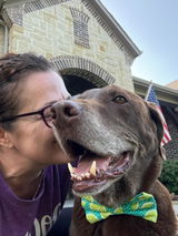 Dawg Mom review photo