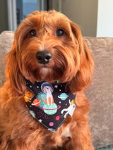 Trixie's mom review photo