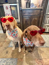 Dawg Mom review photo