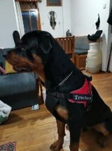 O**** A**** review photo
