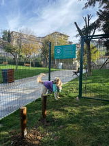Eda review photo