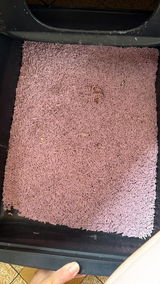 Anonyme review photo