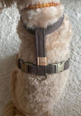 Anton‘s Dogmom review photo