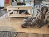 Zhao Doudou review photo