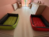 Michaela Gadkowsky review photo
