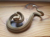 V.B. review photo