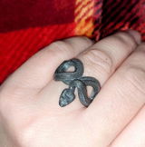 R.N. review photo
