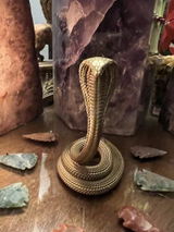 V.G. review photo