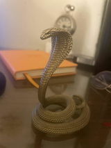 S.A. review photo