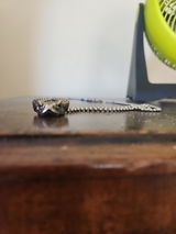 S.S. review photo