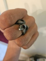 D.N. review photo