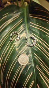 B.P. review photo