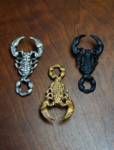 E.V. review photo