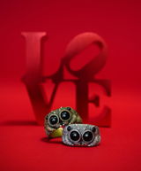 E.V. review photo
