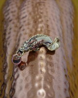 E.V. review photo