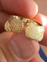E.V. review photo