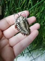 C.D. review photo