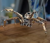 N.A. review photo