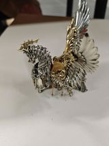 M.Y. review photo