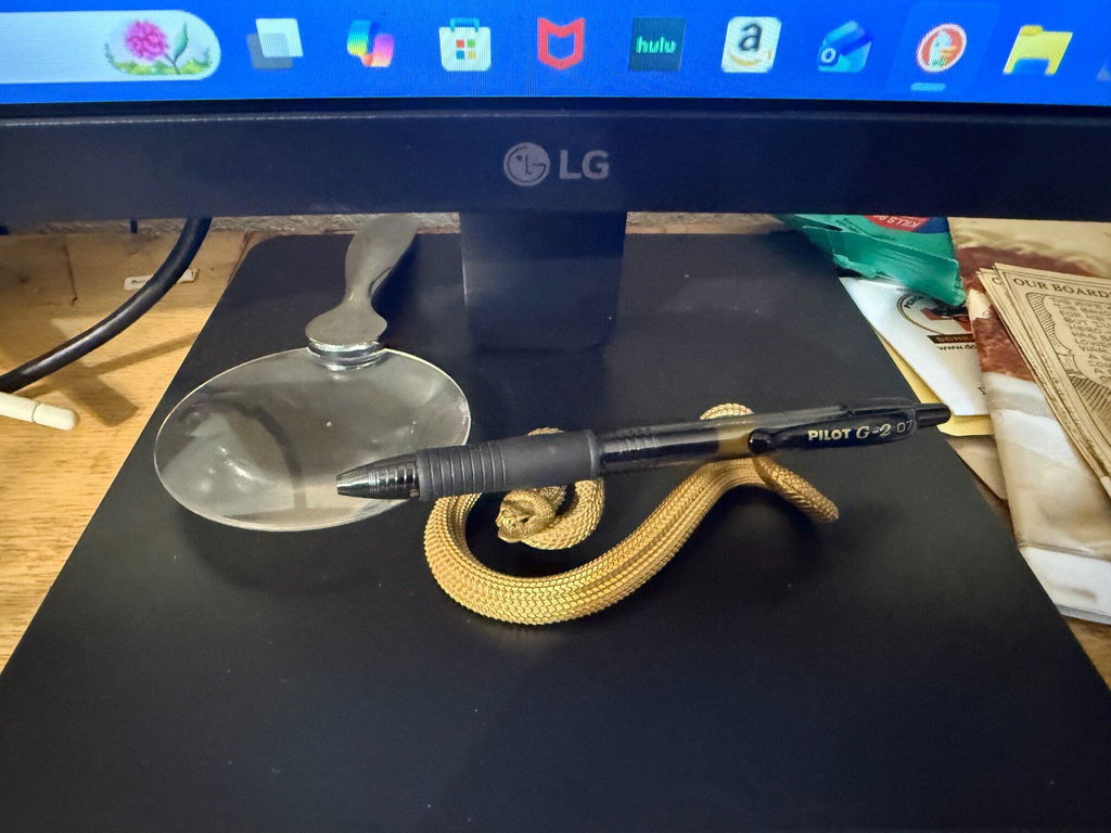 Rattlesnake Pen Holder