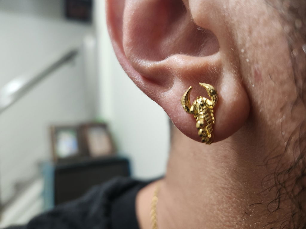 Scorpion Earrings