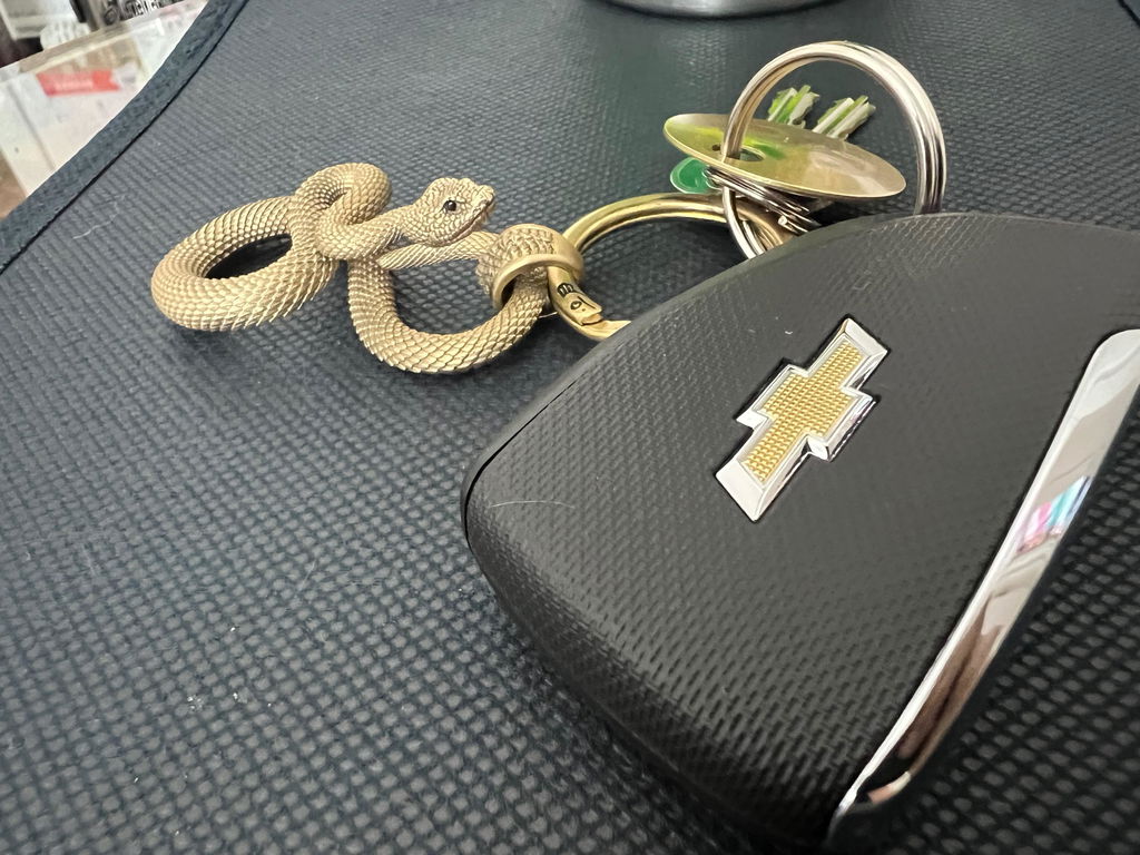 Snake Keychain