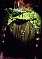 Elizabeth Fluharty review photo
