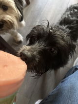 mypuppyloveslime review photo