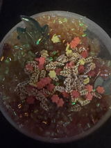 Diane Kight Craddock review photo