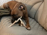 Courtney M. review photo