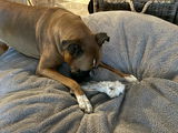Courtney M. review photo