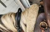Terrie review photo