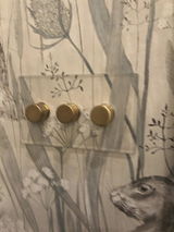 Joanne Coats review photo