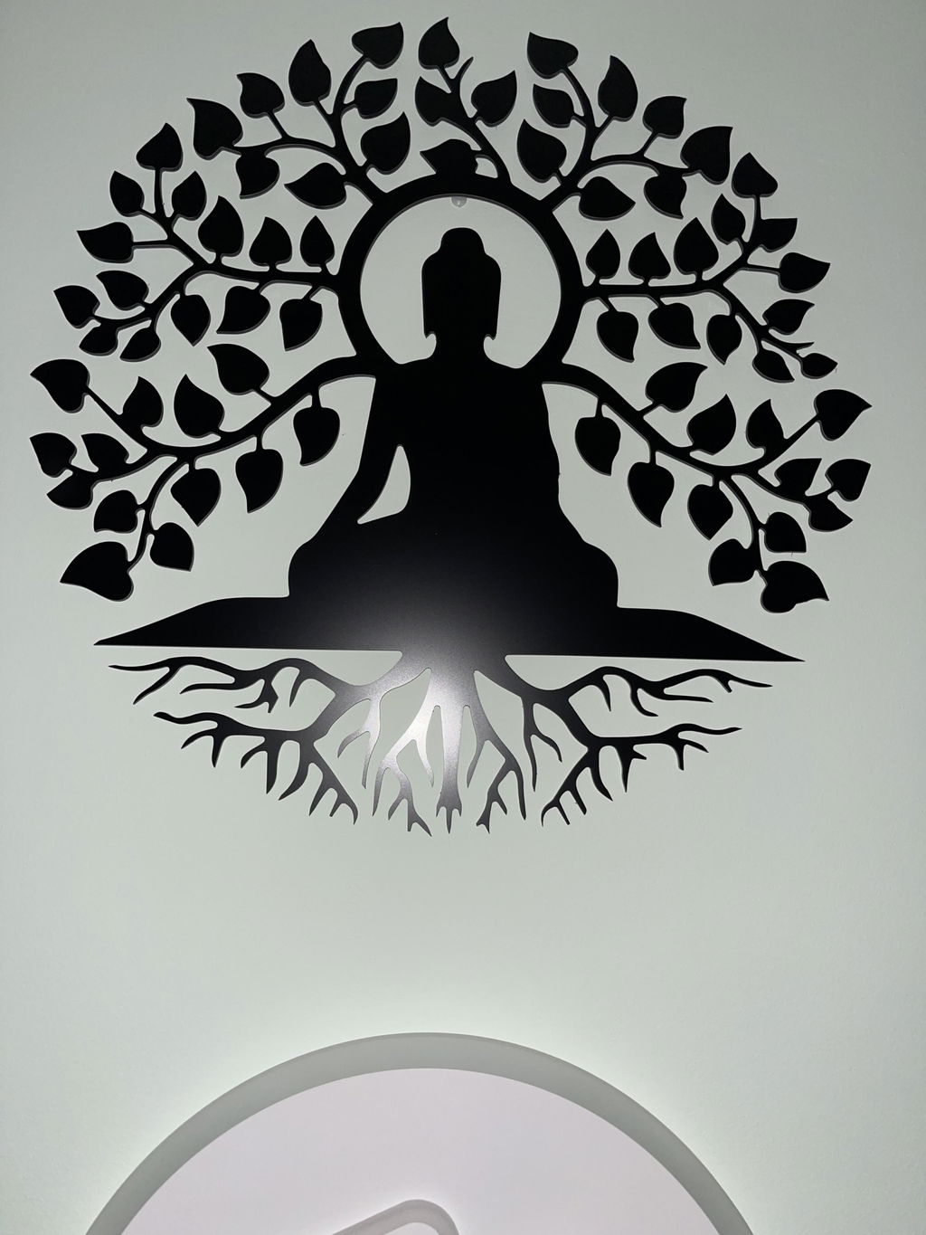 Budha De La Vida