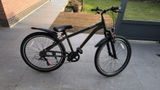 Ivo review photo