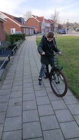 Hans review photo