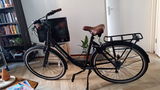 Silvana review photo