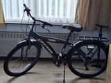 Nadien review photo