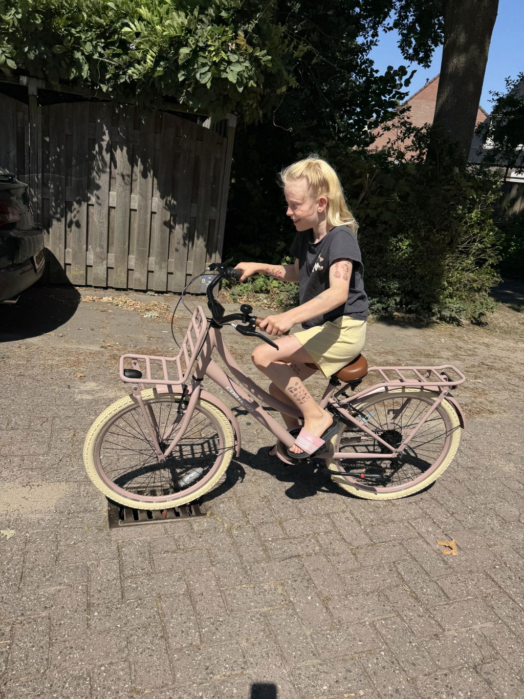 Transporter Meisjesfiets 24 inch - 7 Versnellingen - Zalm