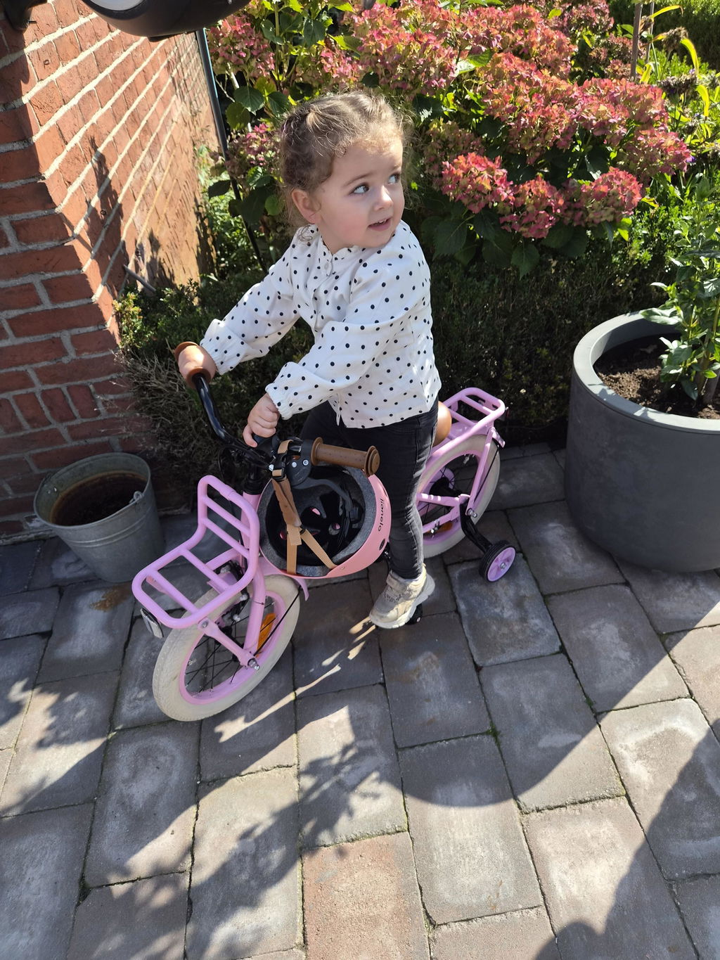 Liberty meisjesfiets Roze 14 inch