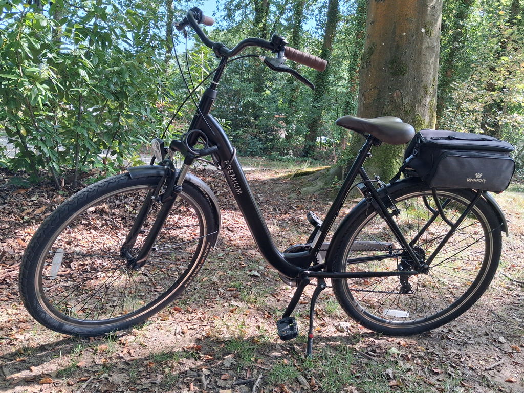 Premium D7 Damesfiets - 7 Versnellingen