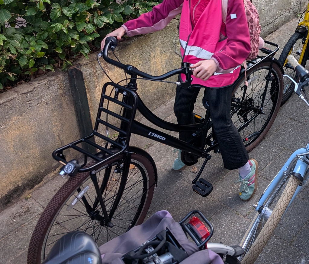 Transporter Meisjesfiets 26 inch - 7 Versnellingen - Mat-Zwart