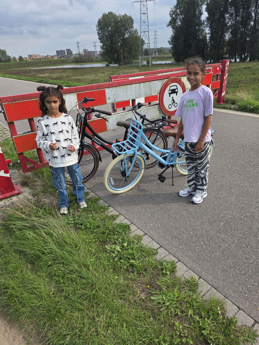 Transporter Meisjesfiets 22 inch - 7 Versnellingen - Blauw